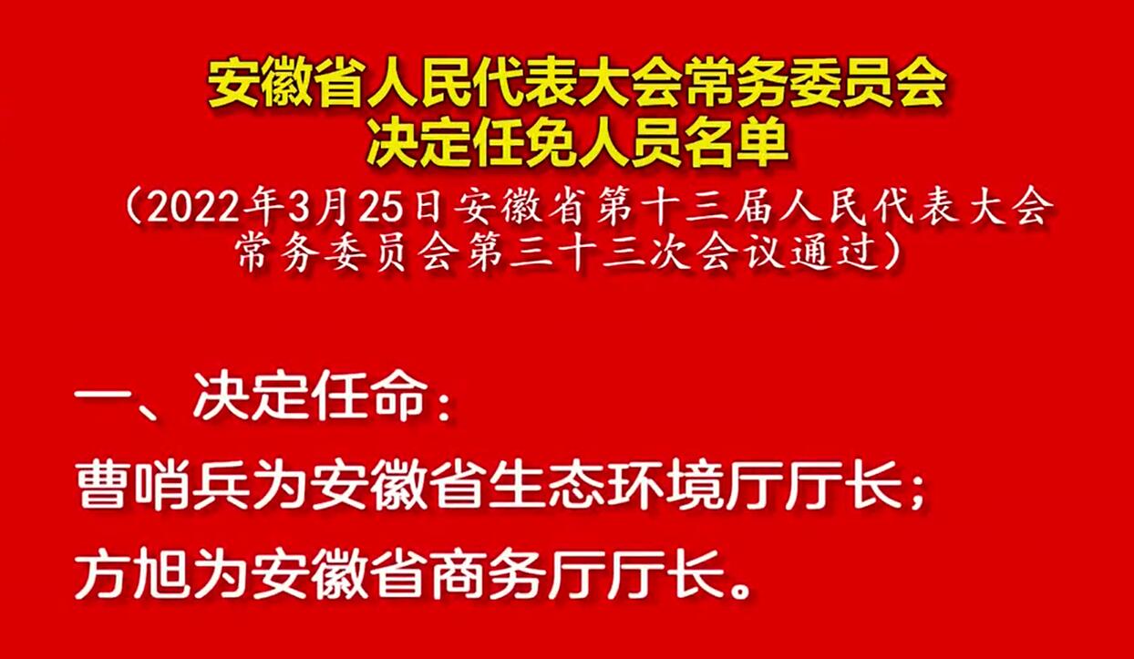 安徽最新人事任免动态解析及任免消息发布