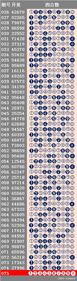 2024年11月13日 第49页