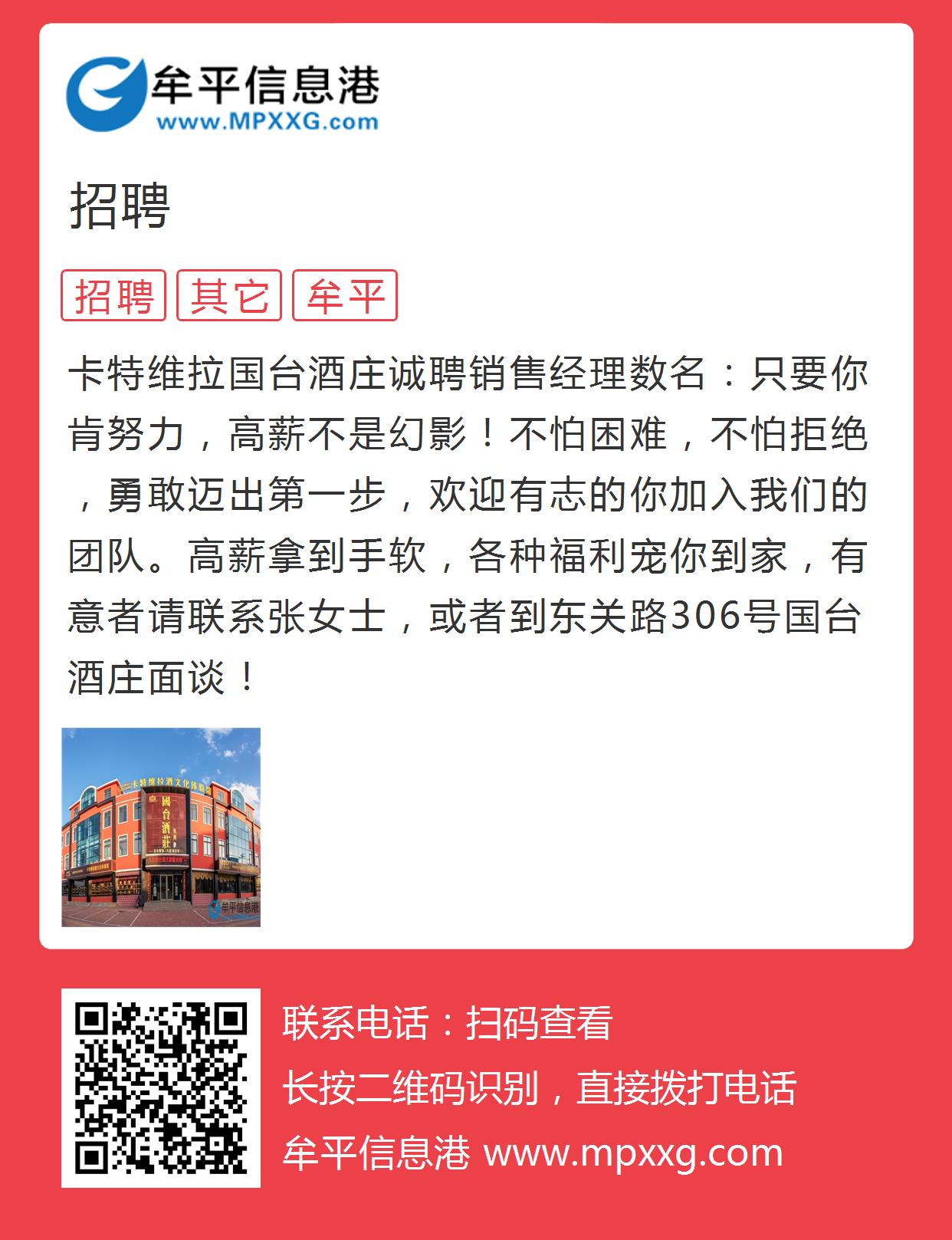 平原信息港最新招聘信息解读与阐述，求职者的必读指南