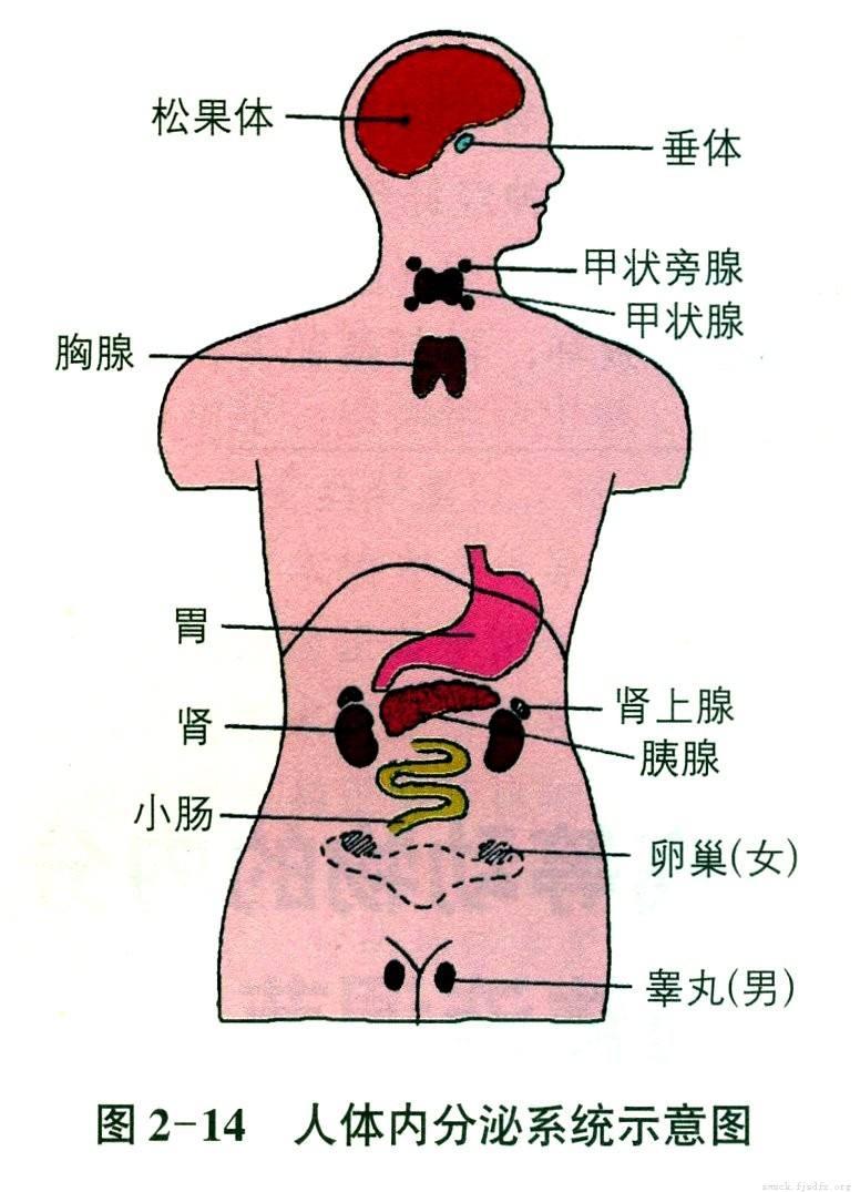 准确之旅