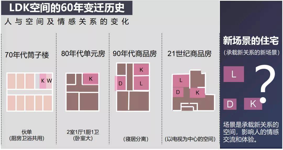 画龙点睛 第12页