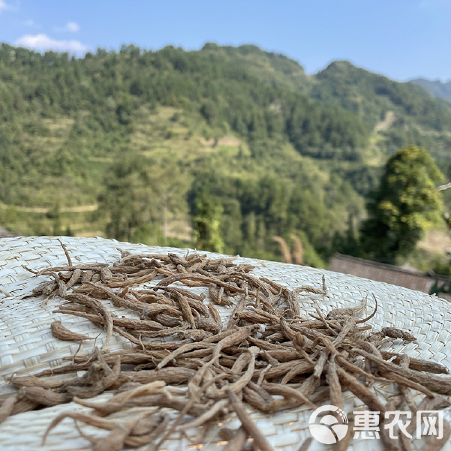 太子参最新价格动态