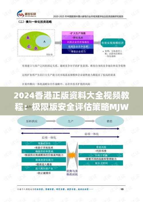 2024香港全面资料汇编：全新评估准则_MVZ210.22修订版