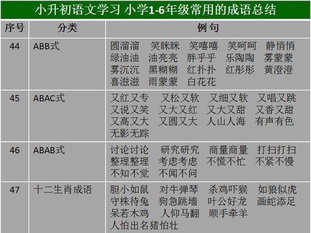 2004澳门天天好彩精华汇编，全方位解读分析_手机版MWR739.82