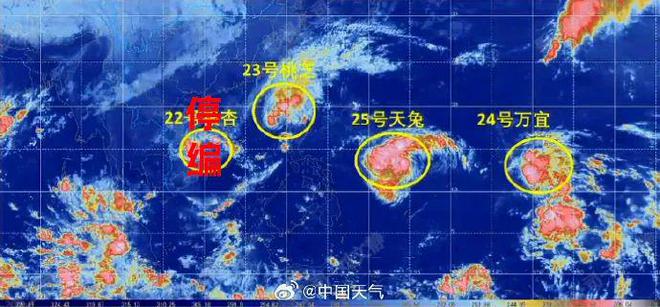 实时更新与影响分析