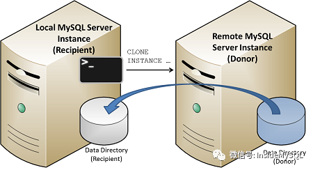 MySQL最新版掌握变化，自信闪耀，掌握无限可能的关键技能