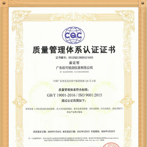 ISO9001最新版本的独特魅力，小巷中的优质小店揭秘