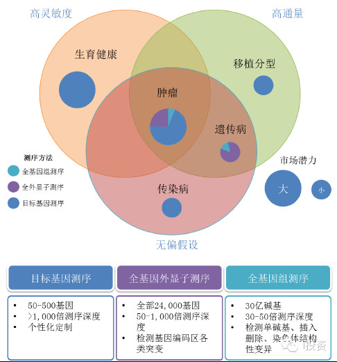 世纪星源，特定领域的发展历程与地位最新消息回顾