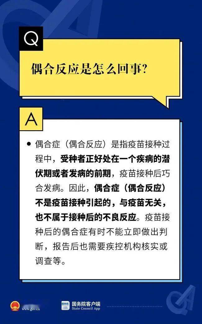 权威解析：二四六内部资料的最新动态和指导_DIU1.65.60特别版