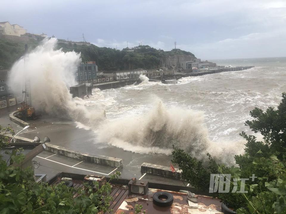 浙江温州台风最新动态，全面解析与应对指南