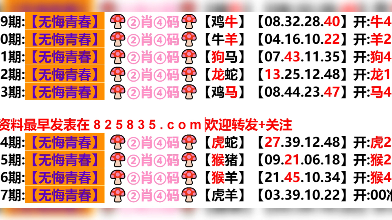 2024新澳门开奖记录,实证分析详细枕_TQX10.287运动版