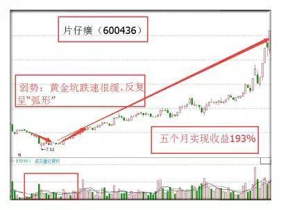 圆茄子最新价格及市场走势、选购指南与案例分析