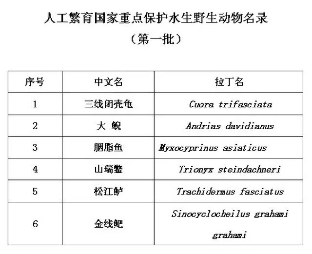 新澳资料正版免费资料,数据科学解析说明_奢华版OTP1.638