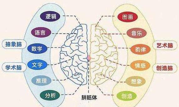 澳门一码一肖一待一中四不像,高速应对逻辑_创意版EEI92.397