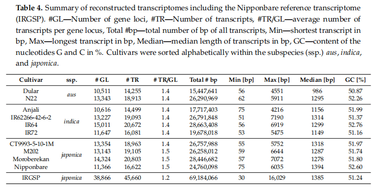 新澳2024年正版资料,实践评估说明_3K183.861-2