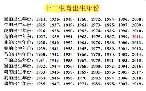 2024十二生肖49码表,定性解答解释定义_suite17.233-2