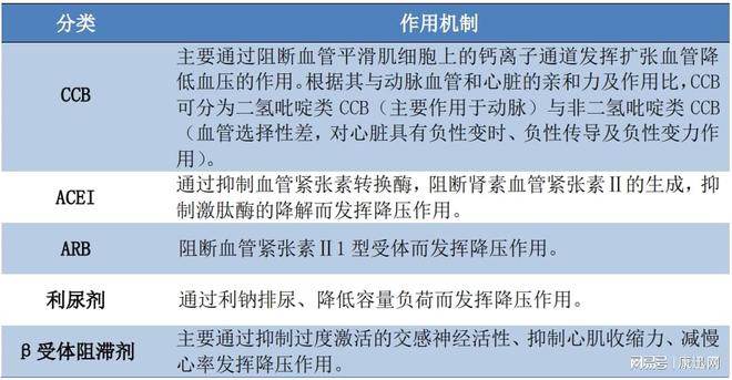 白小姐三肖三期必出一期开奖,机制评估方案_艺术版55.887