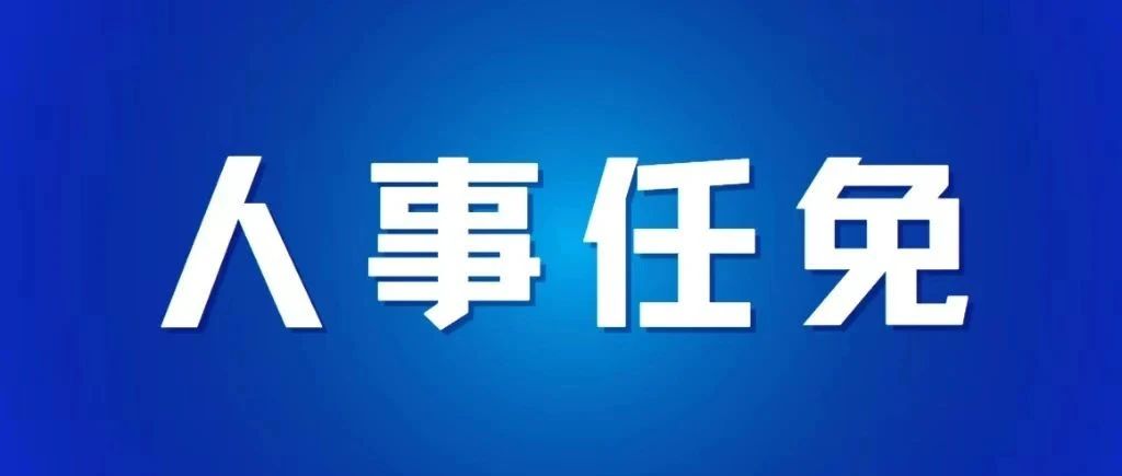 乌海市最新人事任免,乌海市最新人事任免，观点论述