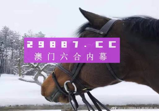 一点红澳门一肖一码,灵活性执行方案_豪华款10.738