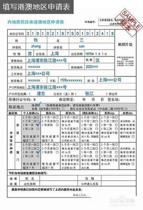 2024年12月10日 第117页