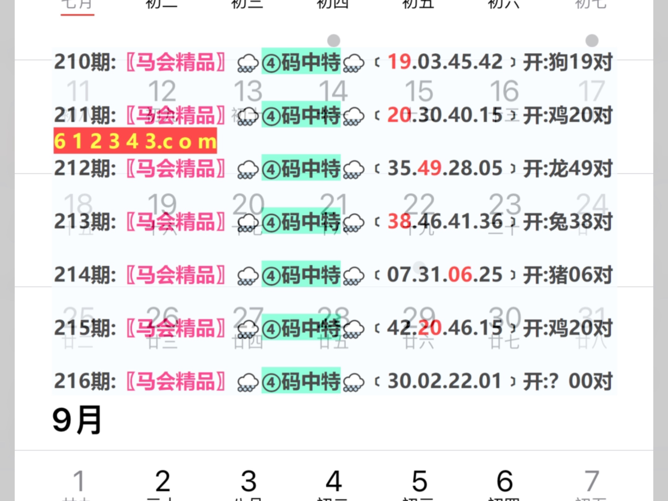 2024澳门天天彩六开彩今晚开奖,专业数据解释设想_进口版23.216