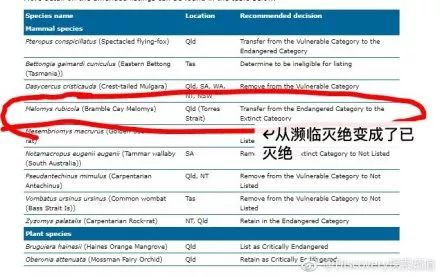 新澳今天最新免费资料,仿真方案实施_云端版9.640