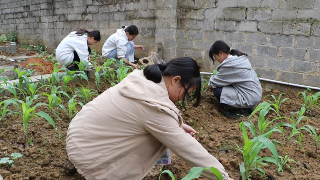 大新县的新变化，活力四溢，自信与成就感的源泉