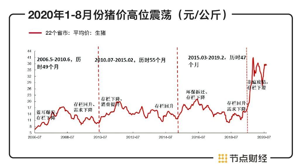 武平最新猪价,武平最新猪价，时代背景下的波动与影响