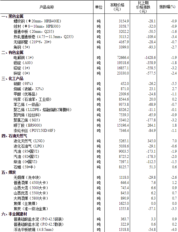 2024年12月13日 第106页