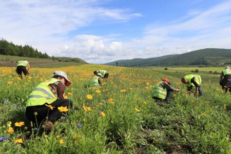 草社區最新地址入口,数据驱动方案_触控版16.250