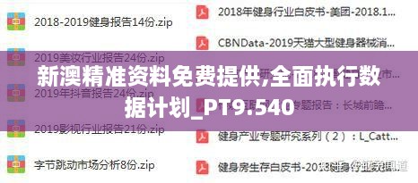 202024新澳精准资料免费,平衡执行计划实施_文化传承版36.944