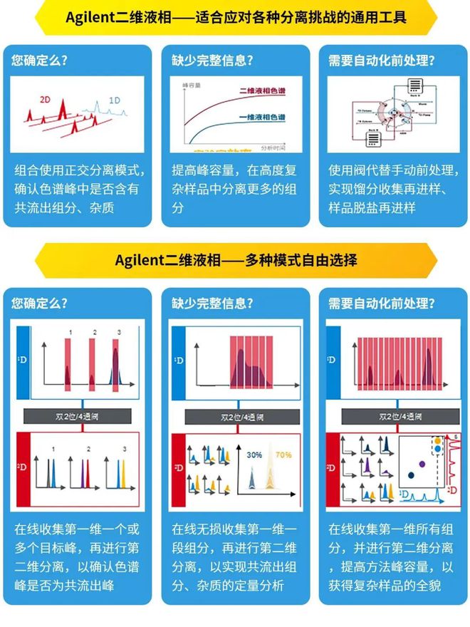 2024年12月14日 第48页