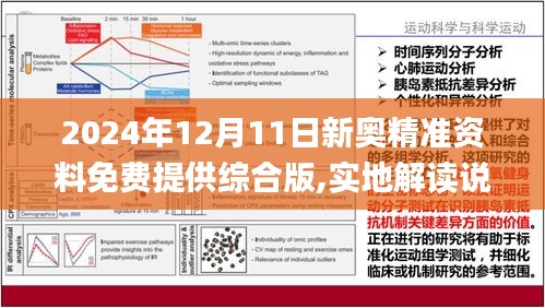 2024年12月 第435页