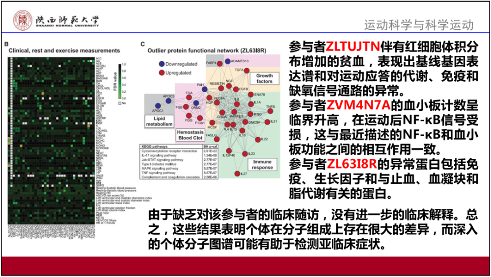 2024香港全年免费资料,深入挖掘解释说明_移动版70.752