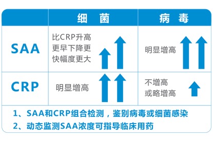 澳门六开彩打开天天彩,即时解答解析分析_幻想版70.610