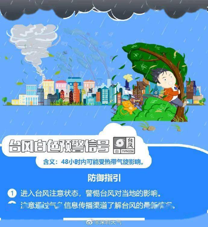 深圳最新台风动态，力量变化中的自信与成就感展现