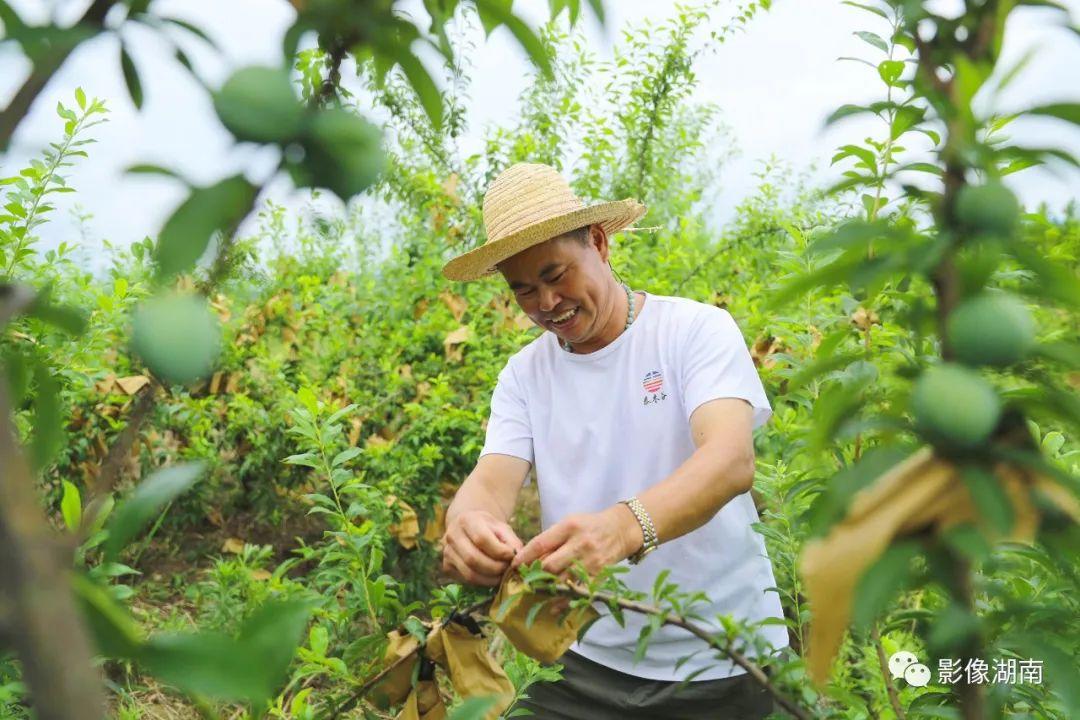 黄金最新价格，时代印记与市场的波动影响