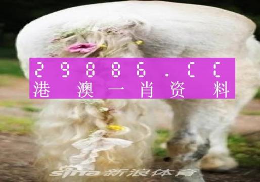 22324濠江论坛一肖一码,科学依据解析_全球版95.809