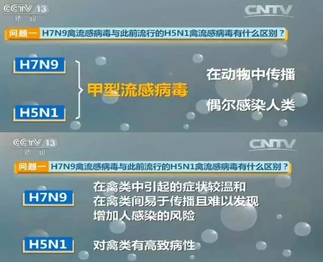 甲型H7N9流感季节的温馨故事与最新新闻报道