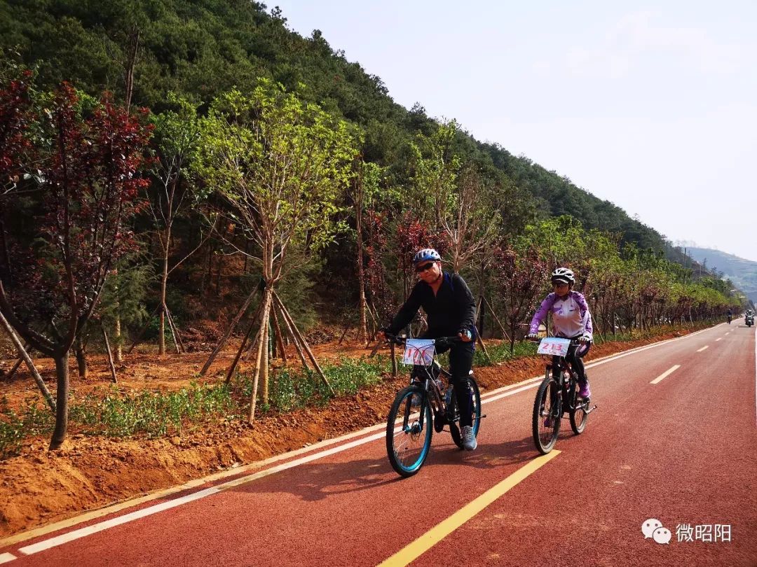 昭大一级公路最新动态与小巷独特风味探寻