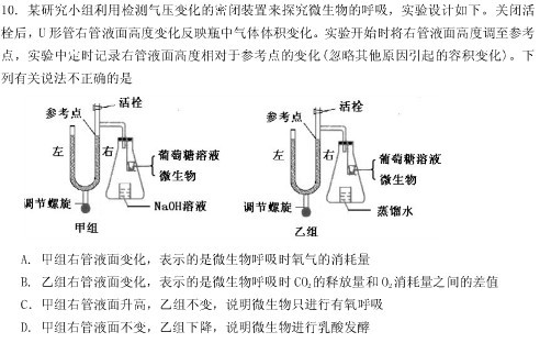 厌氧微生物学最新书籍，探索未知领域的里程碑