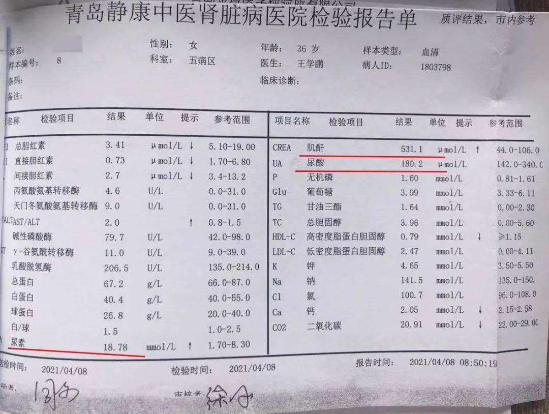 血肌酐正常值最新标准2022,血肌酐正常值最新标准2022——一场关于健康与友情的温馨故事