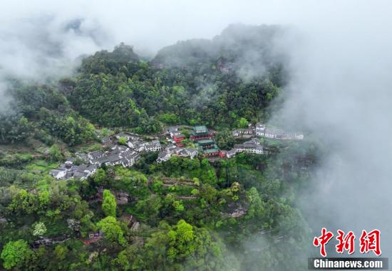 乡村春色，自然美景探秘之旅最新章节列表