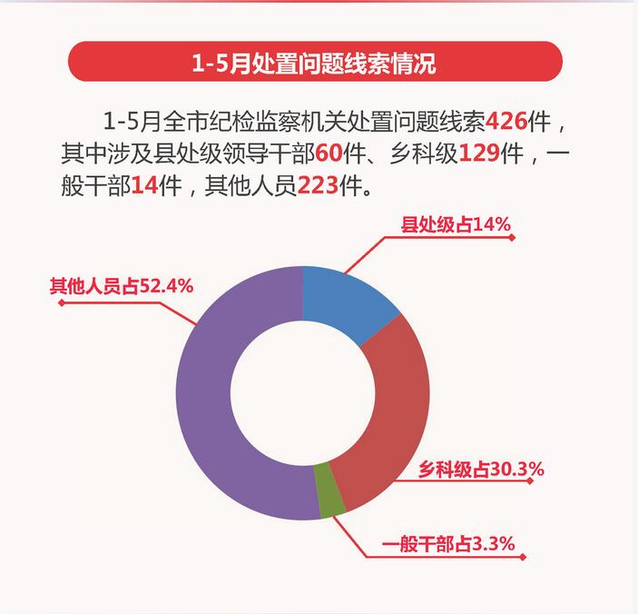 昭通纪检最新消息详解，获取途径与了解步骤指南（初学者与进阶用户适用）