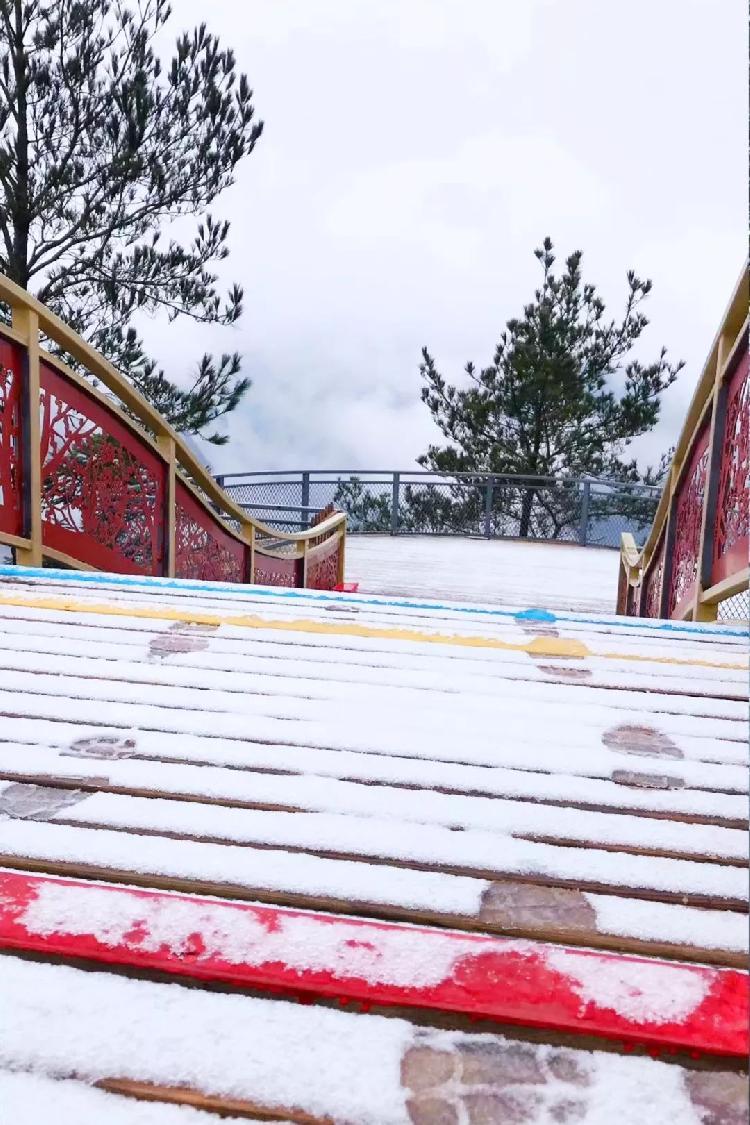 超级鉴定术，揭开神秘面纱的探险之旅最新章节