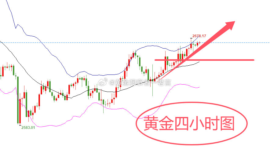 黄金TD最新走势分析，全方位步骤指南