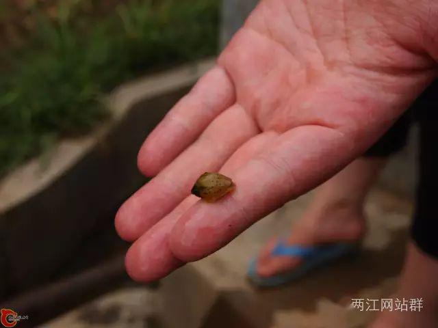 蝌叫窝最新视频观看指南，初学者如何轻松掌握观看技巧及最新视频动态