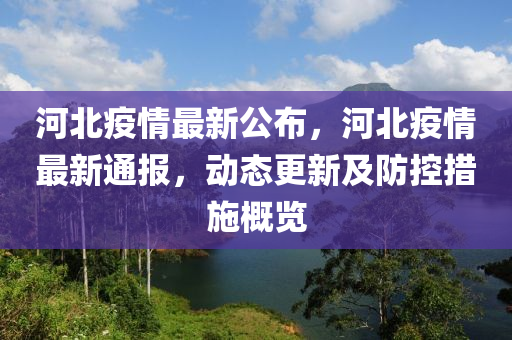 河北最新疫情详解与应对指南，了解、关注与行动的重要性