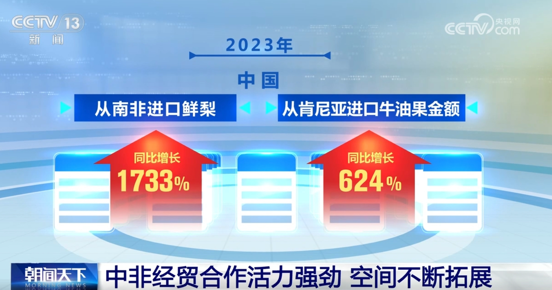 2024年11月8日 第29页