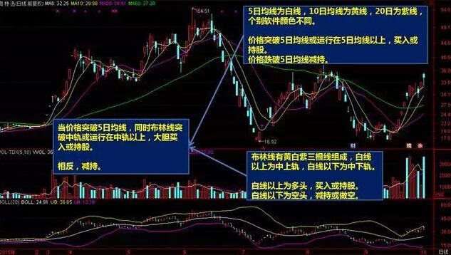 澳门内部最精准资料绝技,经济适用原则_天脉境DAO515.53